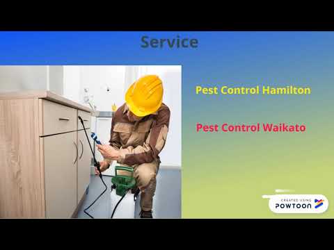 Videos from Pest Control Hamilton