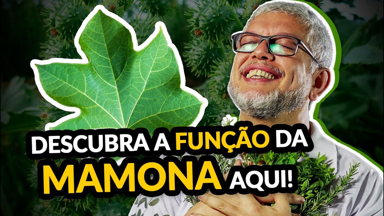 Vamuu láá - A mais poderosa das ervas de Exu! | Ep. 403 Diário do Médium