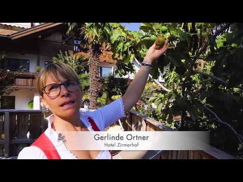 Feigen und Palmen mitten in den Alpen