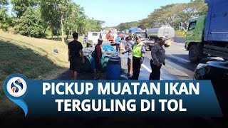 Download lagu Kronologi Kecelakaan di Tol Sidoarjo-Porong Mobil Pickup Muatan Ikan Terguling mp3 Download lagu Kronologi Kecelakaan di Tol Sidoarjo-Porong Mobil Pickup Muatan Ikan Terguling mp3