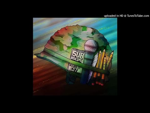 Subasediu - "Dezorientat" (Frontu' de Est, 2016)