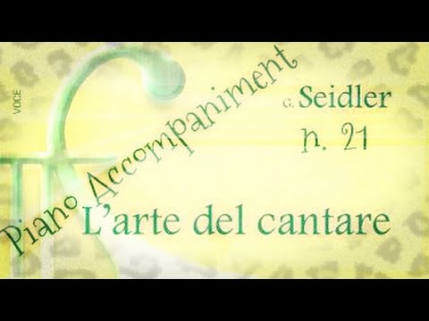 Seidler n. 21 - Piano Accompaniment (Play - Along)