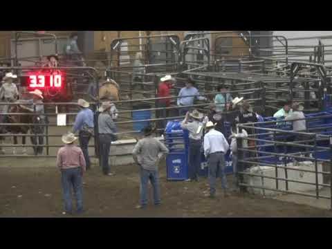 SoDak National Junior Rodeo - DEX - SD State Fairgrounds - Huron SD - Day 3 - Short Go Performance