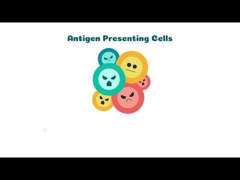 Immune Part 2: Adaptive Immunity|  Omar Tamim