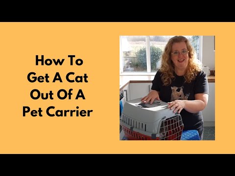How To Get A Cat Out Of A Pet Carrier