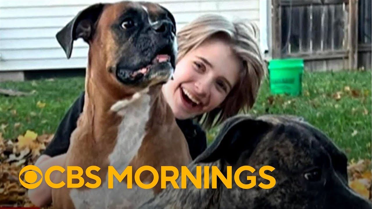 Teen shooter connected to man accused of plotting separate attack