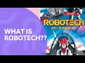The Robotech Macross Series Summary