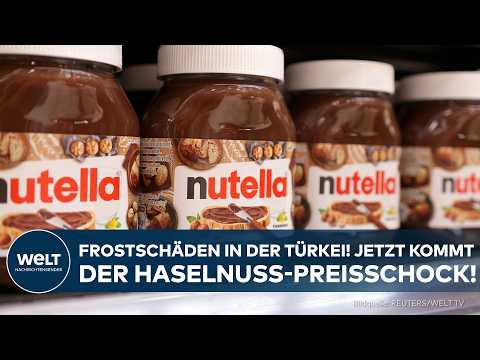 NUTELLA-KRISE: Haselnuss-Preise explodieren - Ferrero und Co. suchen verzweifelt Rohstoff!