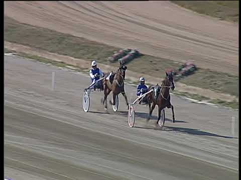 Trotto 03/03/2019 - prova di qualifica