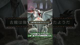 祖龍とは名ばかりの時間泥棒【MHP2g】
