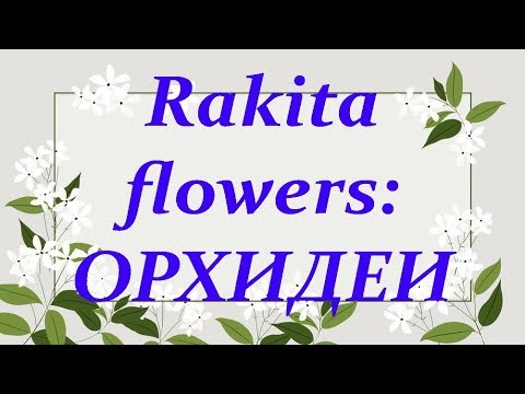 Красивые ОРХИДЕИ на "Раките" (Rakita flowers,Самара,07.08.2019)