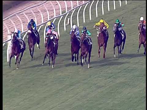 Galoppo 11/06/2019 - 6ª corsa