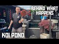 THIS IS SOME OF THE CRAZY JOBS I GET UP TO LOOKING AFTER MY KOI PONDS AND FISH THE TRUTH