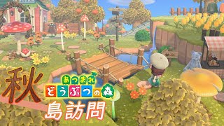 【あつ森】秋風の可愛らしい島に夢の中で訪問！【あつまれどうぶつの森　島クリエイター　実況】