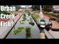 Fishing An URBAN Creek And Catching MYSTERIOUS Fish