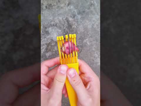 Will it slice onion? 🌰