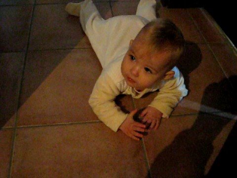 Lucie la petite chenille