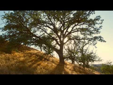 Some of us had been threatening our friend Colby by Donald Barthelme | Ep #167