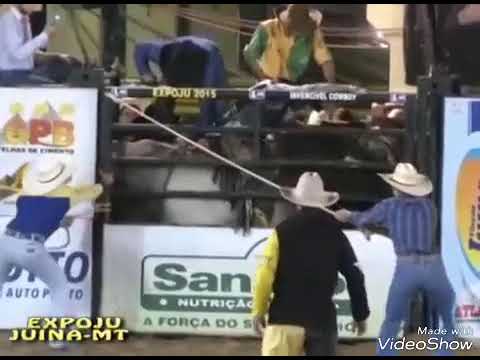 Touro baladeiro cia zeca da juina  Mt