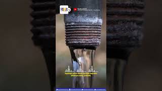 Download lagu Amalan yang Tidak Terputus - Khalid Basalamah mp3