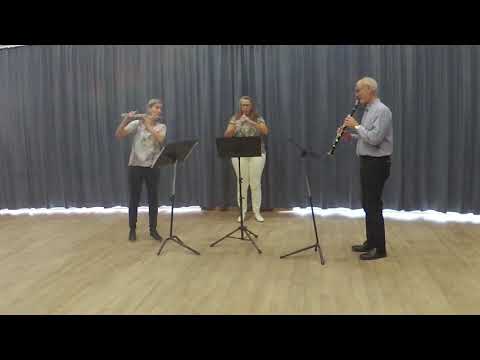 Vill du lära dig spela blåsinstrument?