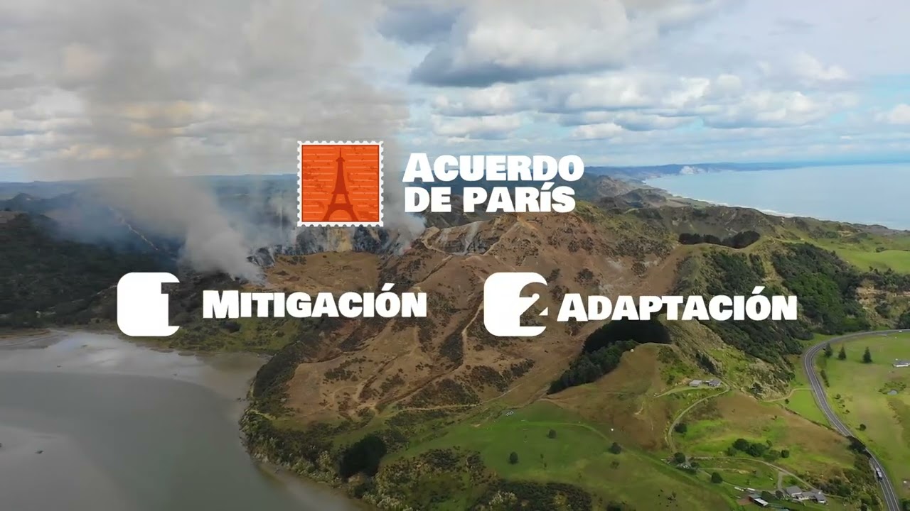 El acuerdo de París y la acción colectiva