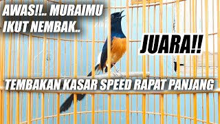 Download lagu PASTI GACOR!! MURAI BATU FULL TEMBAKAN KASAR SPEED RAPAT PANJANG COCOK UNTUK MASTERAN & PANCINGAN mp3 Download lagu PASTI GACOR!! MURAI BATU FULL TEMBAKAN KASAR SPEED RAPAT PANJANG COCOK UNTUK MASTERAN & PANCINGAN mp3