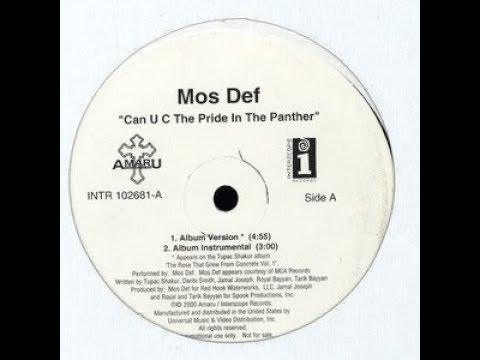Video thumbnail for Can U C The Pride In The Panther (Jay Dee Remix) (Instrumental)