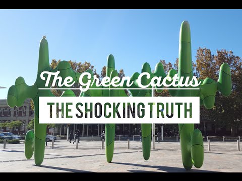 The green Cactus: The Shocking truth