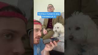 Human to Dog Translator Compilation!