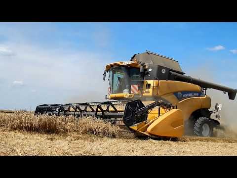 Žltá žatva / Yellow harvest / Żniwa - 3x New Holland - CR 9090, CR 9070, CX 8070