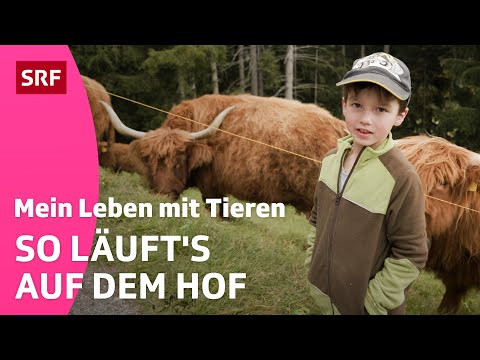 Fabio & der Bauernhof | Mein Leben mit Tieren | Kindervideos | SRF Kids