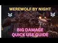 Werewolf By Night Quick Use Guide Crazy Damage