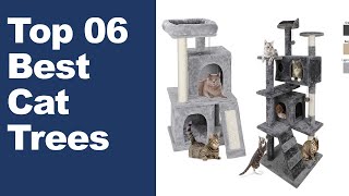 Best Cat Trees || Top 6 Best Cat Trees On Amazon