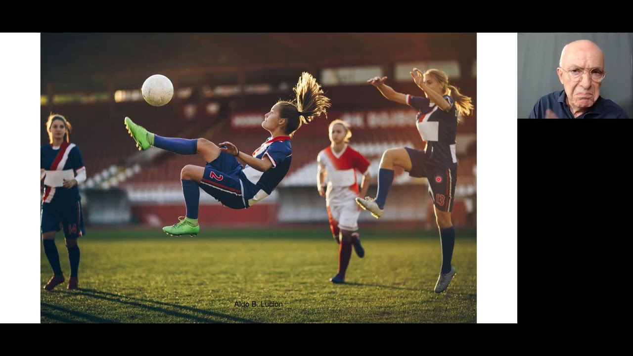 Cerebelo aula 1 sistema comparador