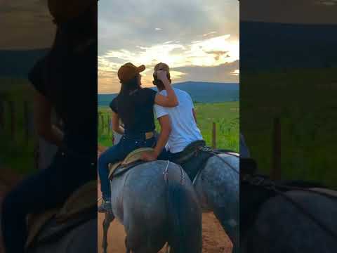 Banda Paixão de Vaqueiro ( Eu e Você no Whatsapp )