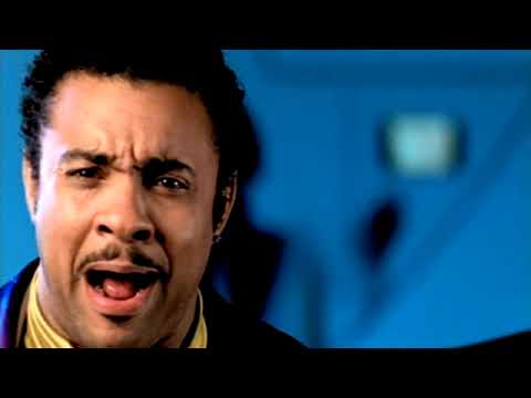 Shaggy   It Wasnt Me 7' DVJ Jaycee