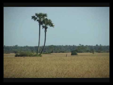 Sin Si Samouth, Nhor nhim sros sray