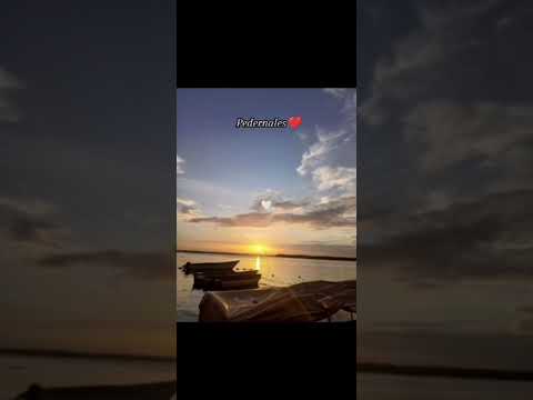 Pedernales estado delta amacuro @elis-03