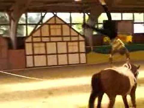 CVI** Krumke 2008  - Kai Vorberg