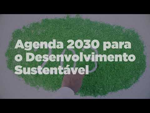 Pílulas 🗂️ Preservar é Lei | Sustentabilidade