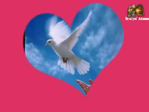 المحبة لاتزول   نبيهة يزبك   YouTube 360p