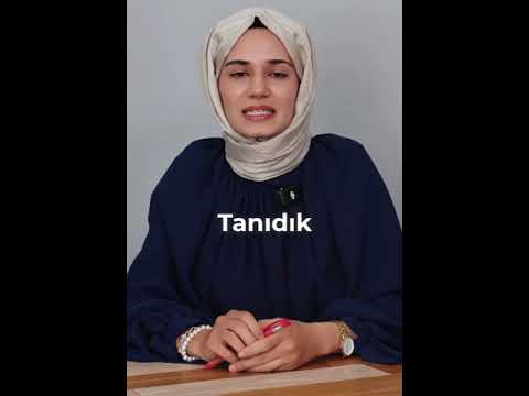 Ceyda Sungur-15