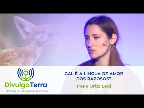Vídeo: Cal é a lingua do amor dos raposos?