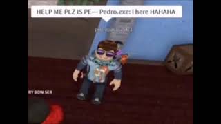 Cover art for ITS PEDRO.EXE