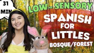 El Bosque / The Forest