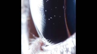 Roly Porter - Known Space