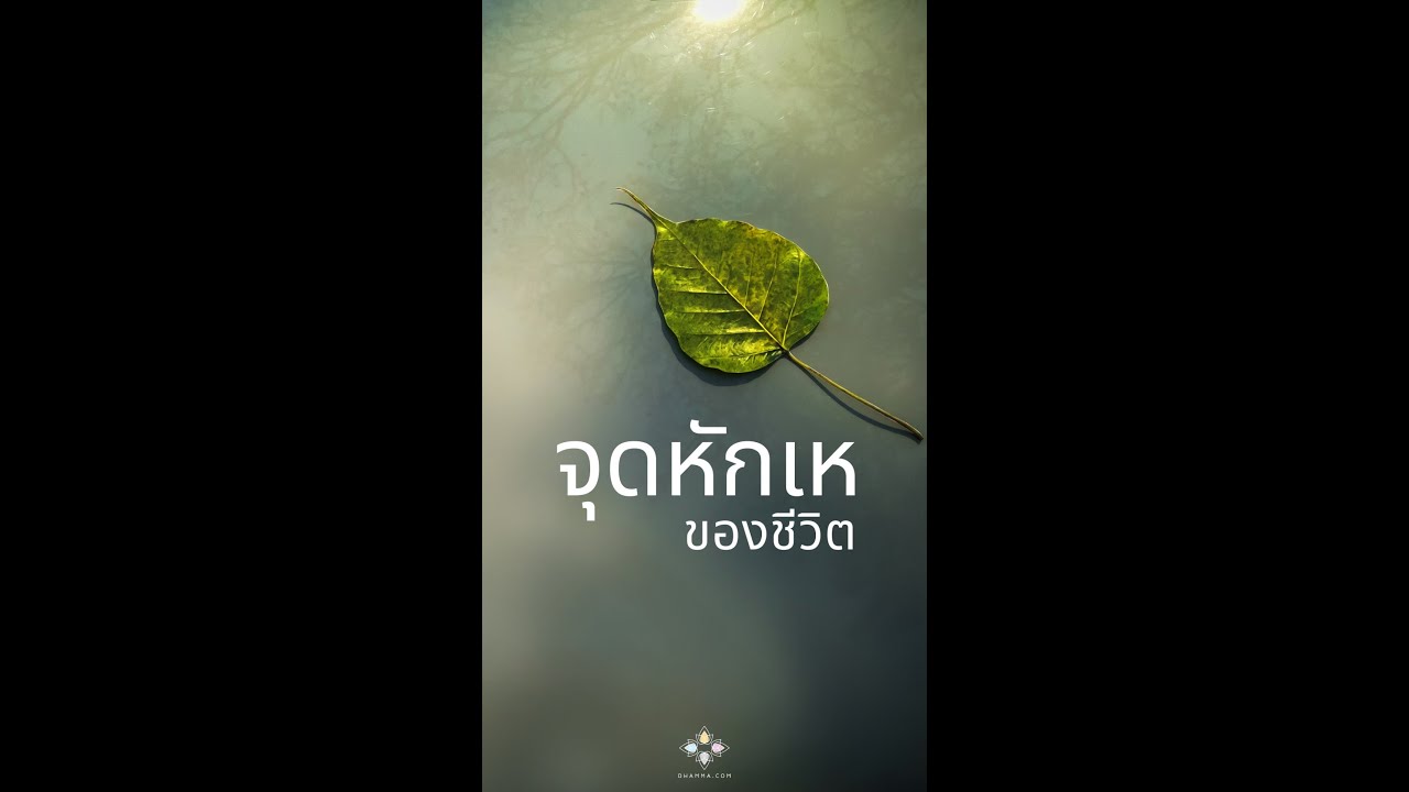 รูปภาพ ดาวโหลด Google Youtube SEO