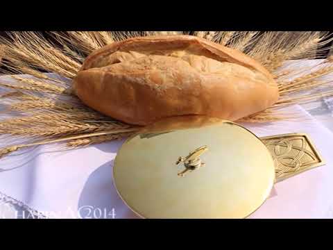 CANTOS PARA LA SANTA MISA   Vers  Estudiantina   MISA TRADICIONAL   Divina Misericordia TV