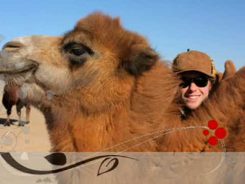 Видеоролик Природа и человек